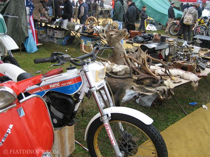 Bikes and a Stag